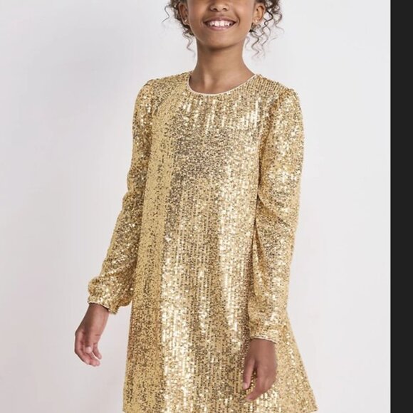 NWT - Vineyard Vines Rose Gold Dakota Sequin Swing Dress Size LARGE - Picture 7 of 7